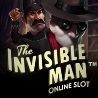 NET ENT Slot